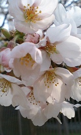 b36a9393.jpg