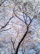 050407_1530~001.jpg