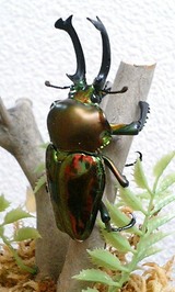 050731_2114~0001.jpg