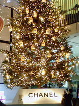 373a20e6.jpg