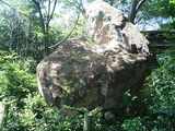445247b1.jpg