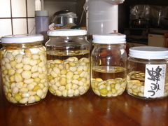 7b537d52.JPG