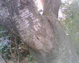 10d58562.jpg