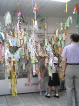 71c37f46.JPG