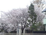 ��ǯ�κ�