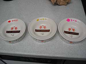 petio_bowl2