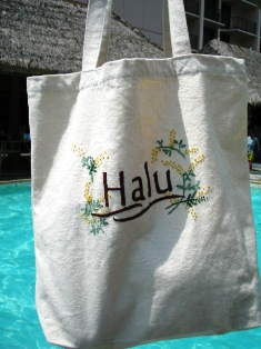 ecobag3