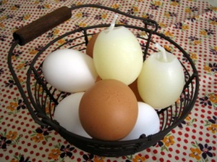 eggcandle