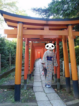 nezu_2