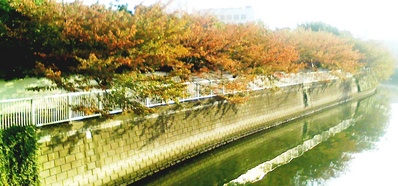 �ܹ���20081106