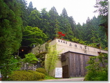 kurama1