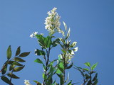 f7577340.JPG