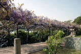 32d0ec59.JPG