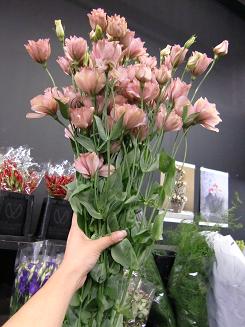 ���� 057