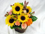 �Ҥޤ��