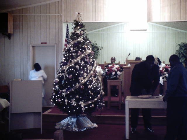 Christmas Tree ����