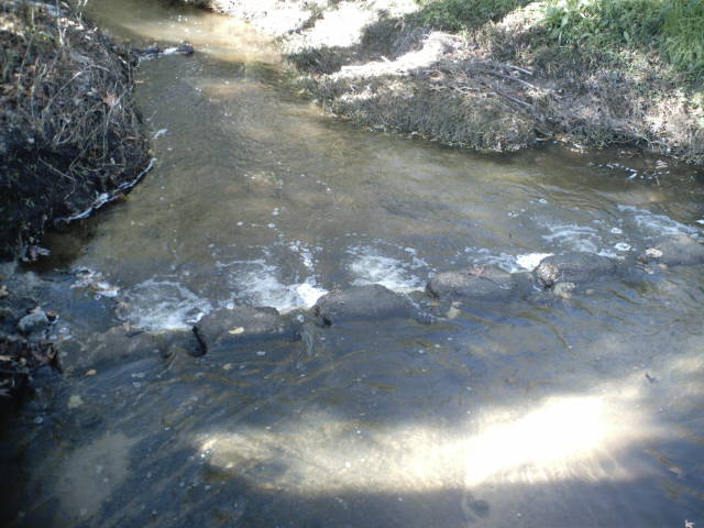 Park  River