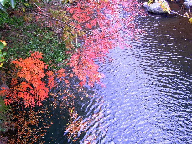 091103-0006_Risize