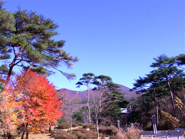 091114-0008_Risize