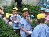 ȹ�ġ֤��ޡ�����������������