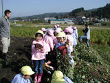 9dd63217.jpg
