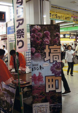 a15007e1.jpg