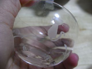 テーブルウェアフェスティバル２００９24