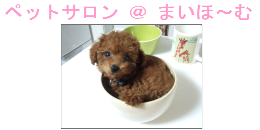 パピィバス