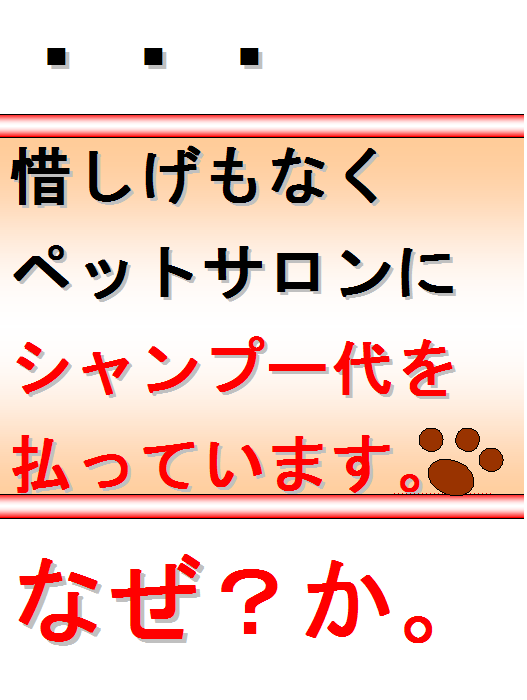 パピバス2