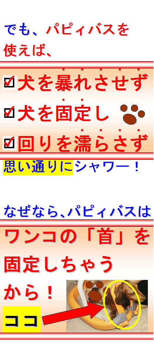 犬シャワー4