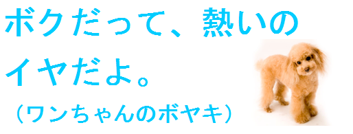 ペット、ドライアー