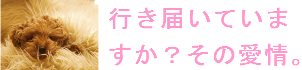 ペットケアスタンド