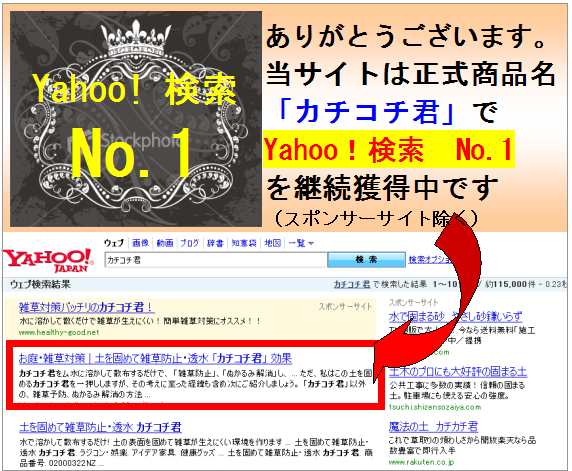 ¥«¥Á¥³¥Á·¯£Îo.1