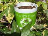 FOUR-LEAF CLOVER