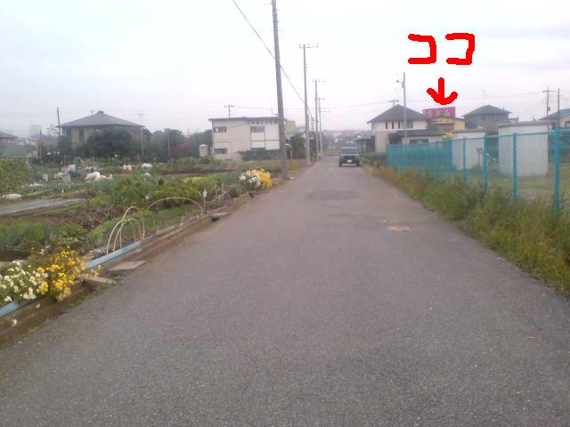 yamaya1