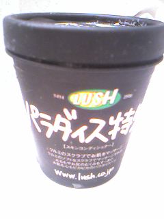 パラダイス特急