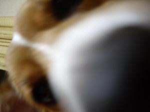 IMGP0161