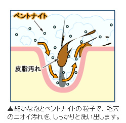 kakisibu2