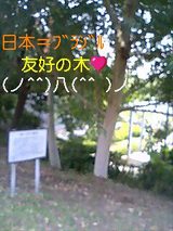 77050a0f.jpg