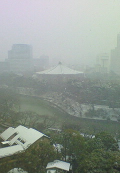 雪化粧の武道館