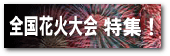 花火大会 情報