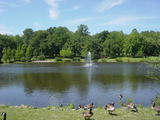 pascackbrook