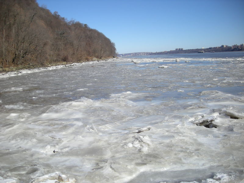 DSCN1329