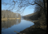 デラウェア川