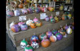 paintedpumpkin