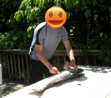 BlogPaint