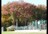 秋の公園