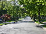 street