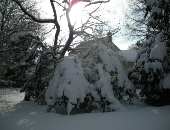 snow2010
