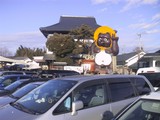 masukotanuki